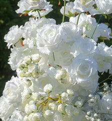 TOPTEN AR027 Background Artificial Flower 2.2*2.2m Arch for Wedding Events Decor