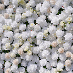 TOPTEN FW018 Artificial Flower Wall 8*8ft for Wedding Party Event Decoration