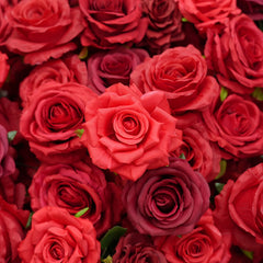 TOPTEN AR022 U-shaped red rose wedding background silk floral arch with frame